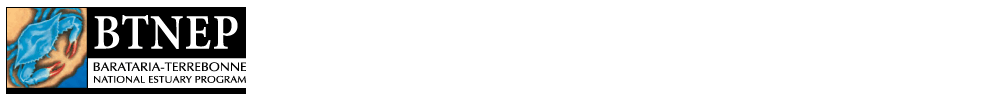 BTNEP Website Logo
